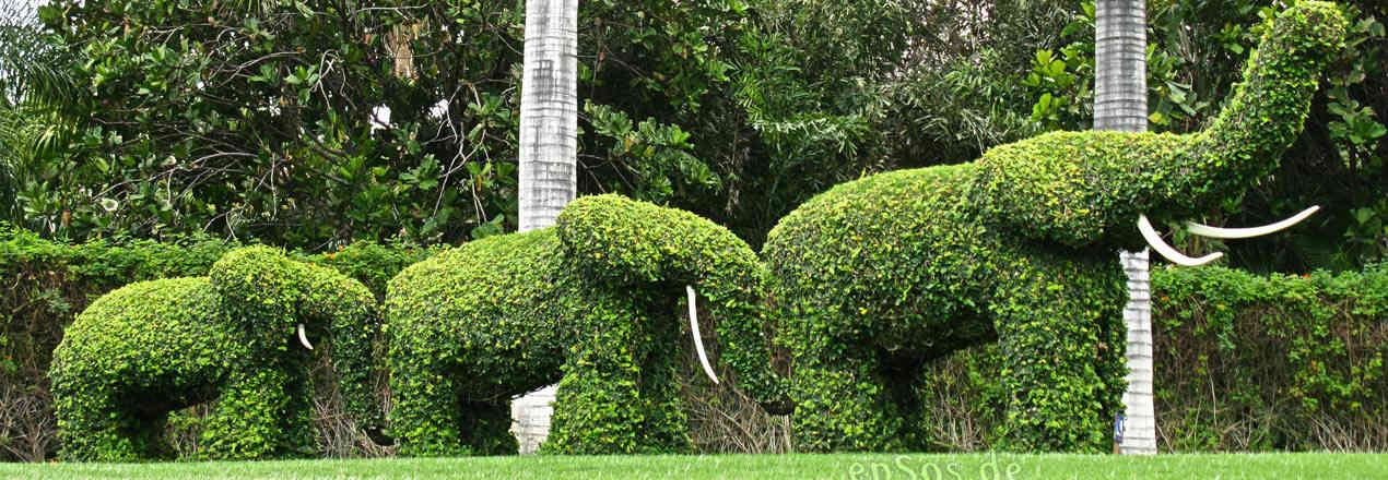 Topiary Art Lawn Services- Frederick Maryland