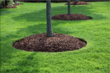 Mulching and more in Hagerstown MD