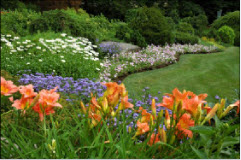 Flowers- Landscape Design & Lawn Maintenance- Frederick MD